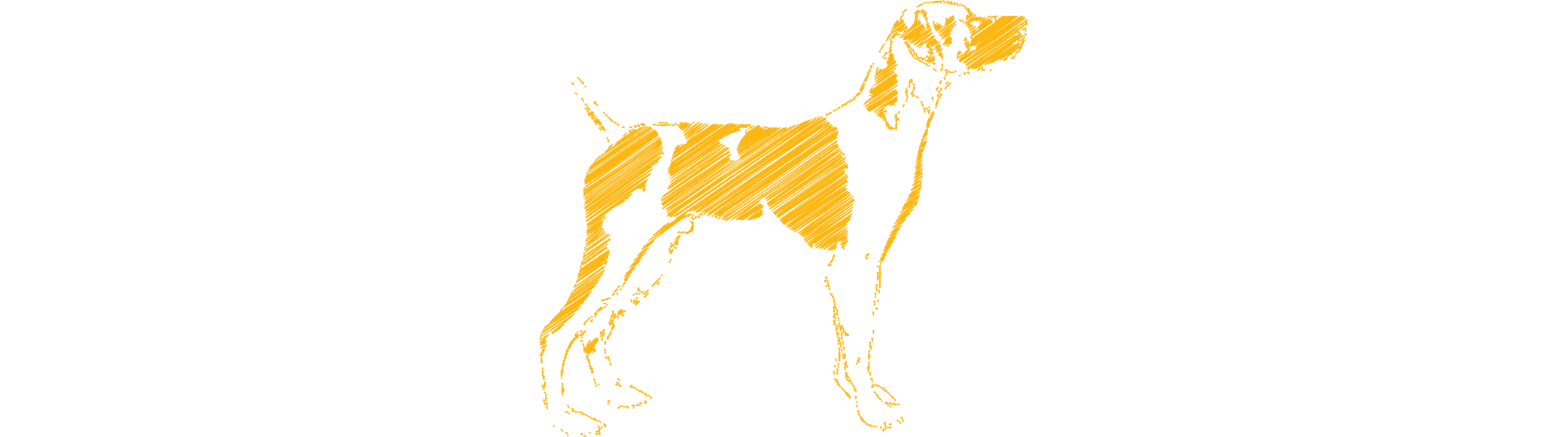 Hound & Gatos drawing of Yellow and White Dog